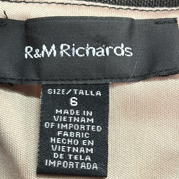 R&M Richards Mesh Lined Panels Swing Hem Cap Sleeve Dressy A-Line Dress S6 EUC - Picture 5 of 11